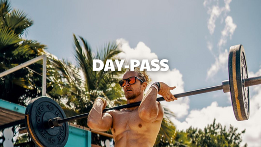 Day Pass