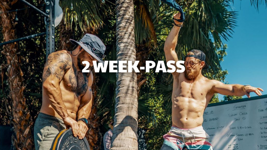 2 Week Pass